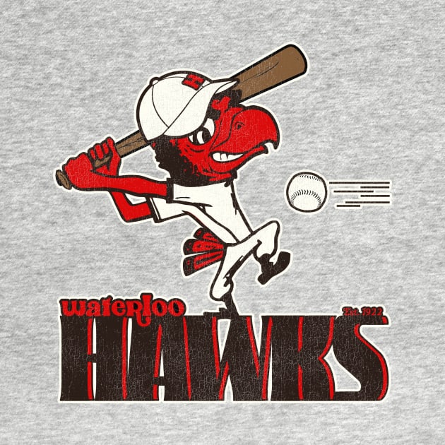 Defunct Waterloo Hawks Baseball Team by Defunctland